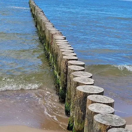 U Miskow Проживание в семье