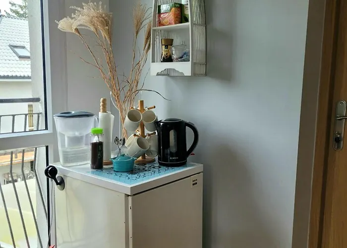 홈스테이 U Miskow *