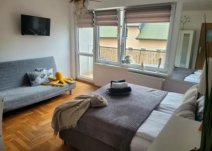 홈스테이 U Miskow