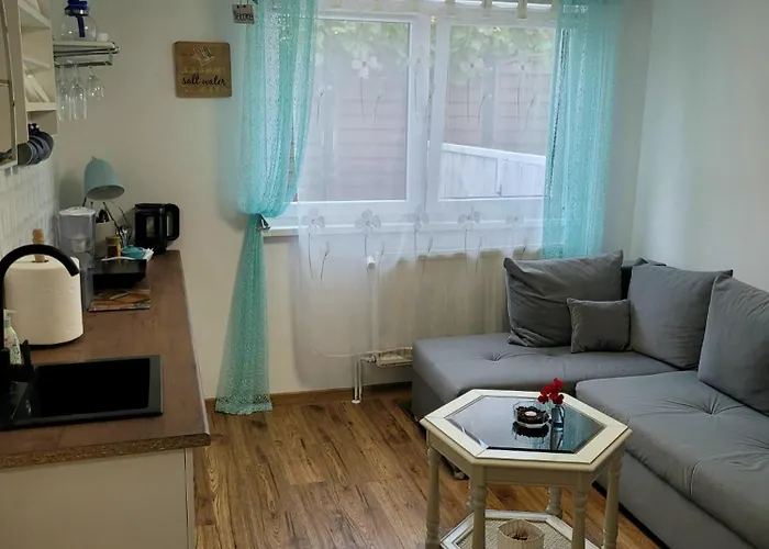 홈스테이 U Miskow