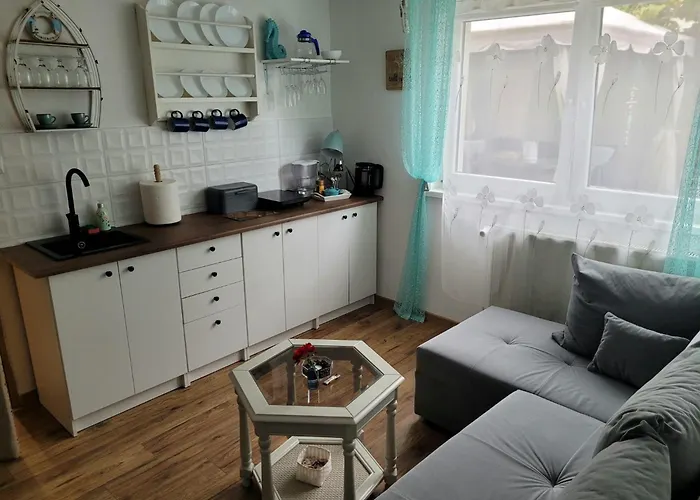 홈스테이 U Miskow